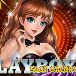Cara Mudah Maxwin di Playboy Wilds Microgaming